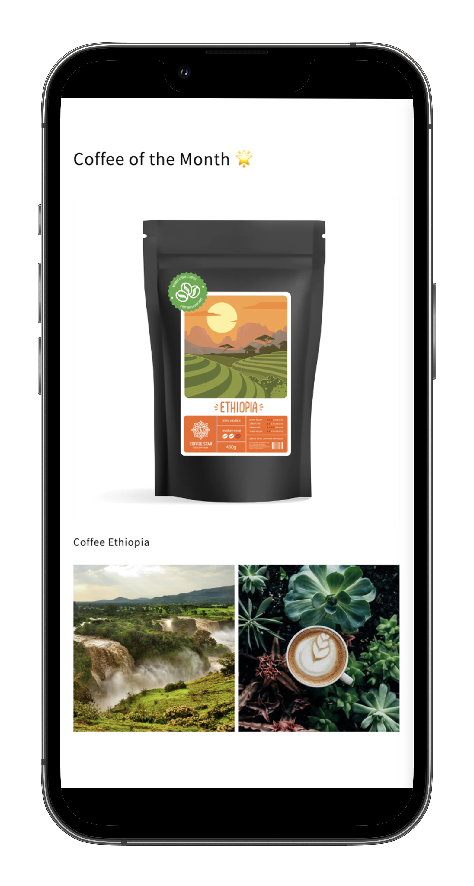 Slate Coffee Collage iPhone Mockup